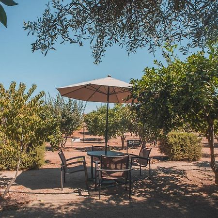 Hotel Castillo Ferrer Valle de Guadalupe Buitenkant foto