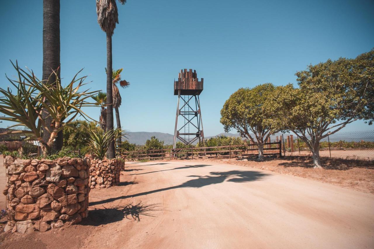 Hotel Castillo Ferrer Valle de Guadalupe Buitenkant foto