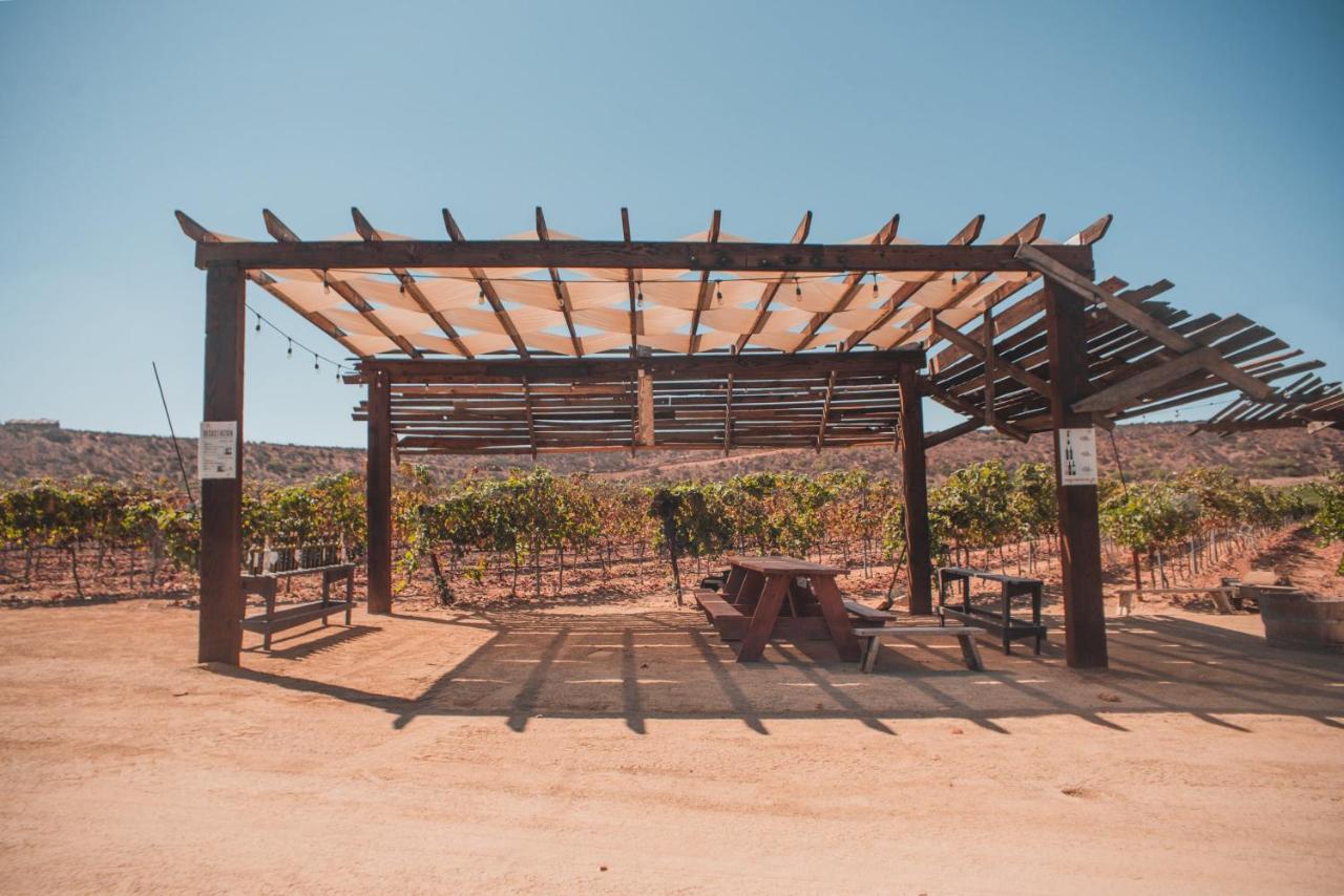 Hotel Castillo Ferrer Valle de Guadalupe Buitenkant foto