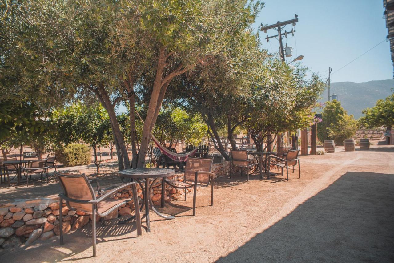 Hotel Castillo Ferrer Valle de Guadalupe Buitenkant foto