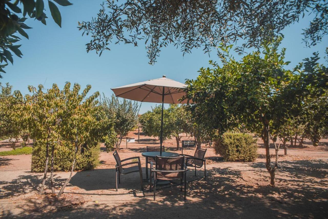 Hotel Castillo Ferrer Valle de Guadalupe Buitenkant foto